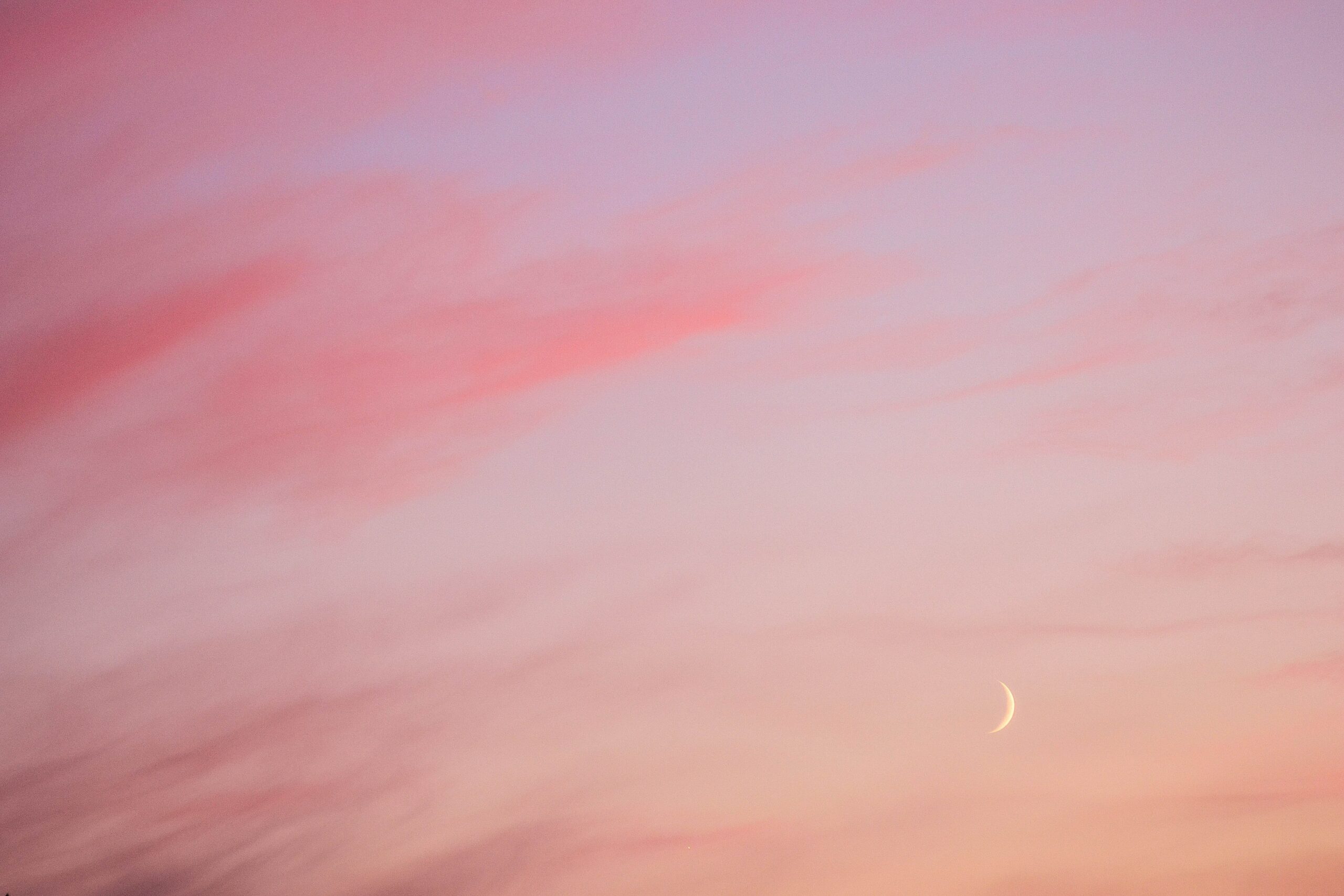 victoria-morgan-XwdSbVgK01Q-unsplash